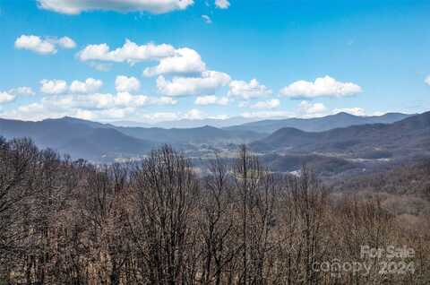 Purple Martin Lane, Waynesville, NC 28785