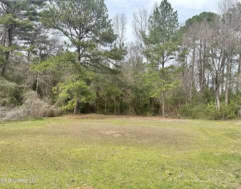 0 Jan Drive, Mendenhall, MS 39114