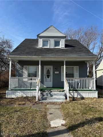 394 E 163rd Street, Cleveland, OH 44119