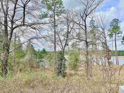 0 Lake Juniper Road, Brewton, AL 36426