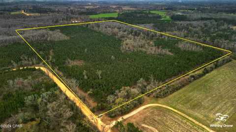 0 New Prospect Road, Chipley, FL 32428