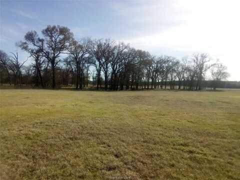 Tbd County Road 231, Centerville, TX 75833