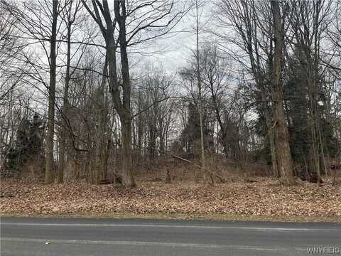 Vl Edgewood Lot #2 Drive, Collins, NY 14034