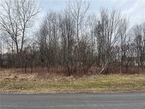 Vl Smithcrest Lot #8 Drive, Collins, NY 14034