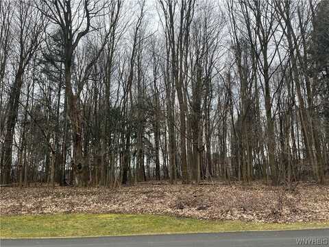 Vl Edgewood Lot #4 Drive, Collins, NY 14034