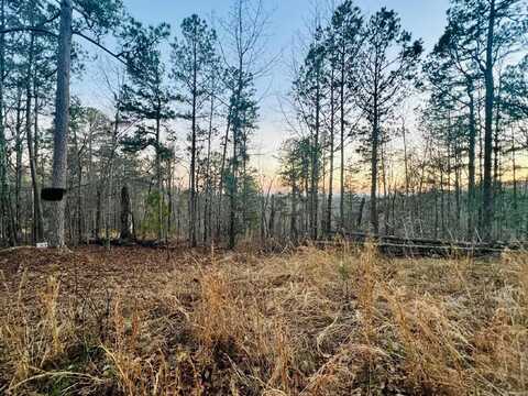 Tract 6 Ramblewood Trail, Yellville, AR 72687