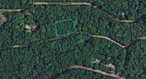 Blk 05 Lot 15 BLUEBELL TRAIL, WAVERLY HALL, GA 31831