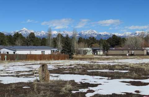 99 Fireside Street, Pagosa Springs, CO 81147