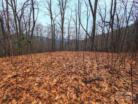 00 Adcock Mountain Road, Waynesville, NC 28785