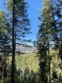 Los Griegos Lot 8-A Road, Jemez Springs, NM 87025