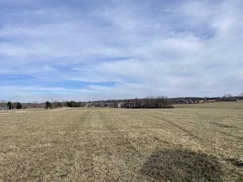 000 Lake Side Road, Rogersville, MO 65742