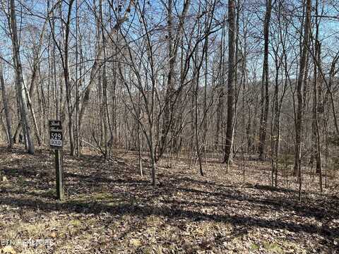 Lot 529 Garnet Trail Tr, New Tazewell, TN 37825