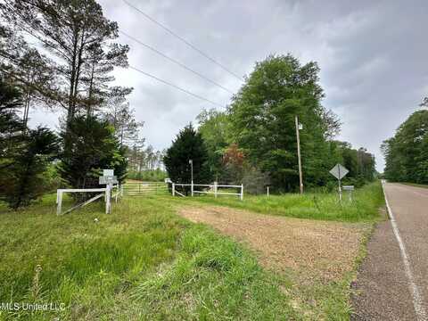 1 Dry Grove Road, Terry, MS 39170