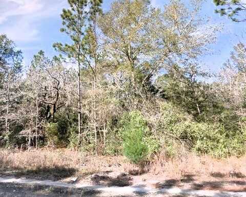 Lot 5 NE 155TH COURT, WILLISTON, FL 32696