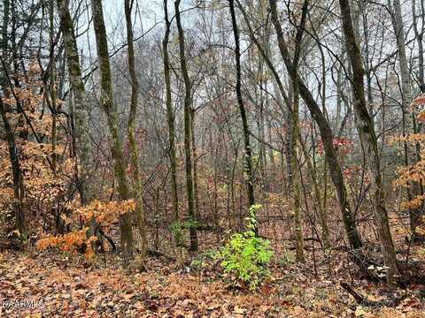 Lot 6 Butler Rd, Decatur, TN 37322