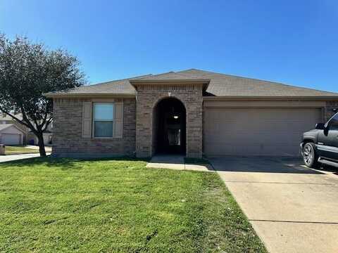 4641 Indian Creek Drive, Balch Springs, TX 75180