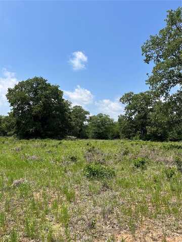 Lot 33 Galway Rd, Poolville, TX 76487