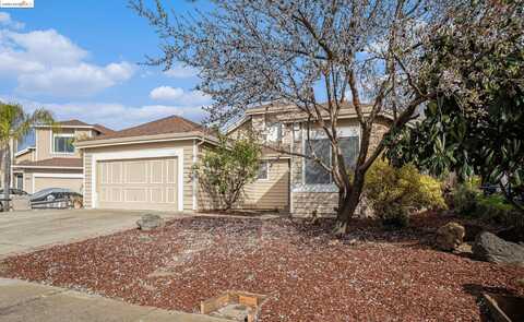 4634 Wente Ct, Oakley, CA 94561