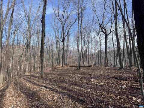 TBD PINE TREE LN, NELLYSFORD, VA 22958