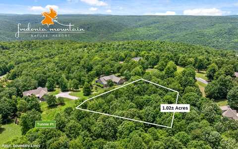 Lot 221 Tunnie Point, Dunlap, TN 37327