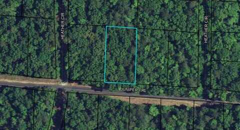 Blk 24 Lot 16 JUNIPER TRAIL, WAVERLY HALL, GA 31831