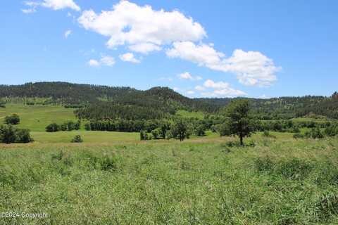 Tract 28 Yellowstone L&R Ranch, Hulett, WY 82720