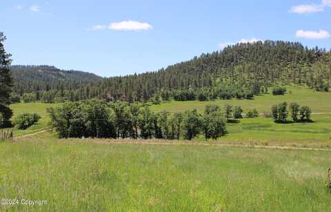 Tract 31 Yellowstone L&R Ranch, Hulett, WY 82720