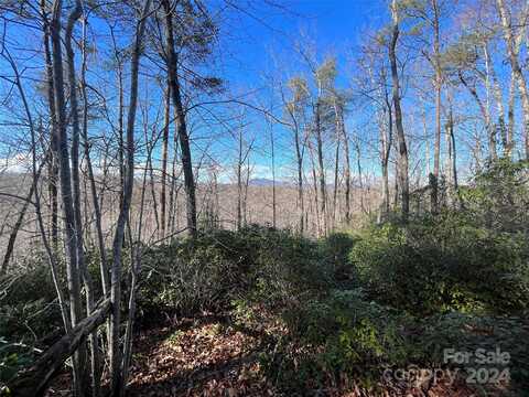 Tbd Overland Trail, Marion, NC 28752