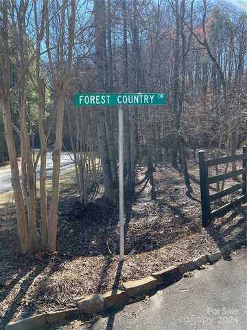 Tbd Forest Country Drive, Marion, NC 28752