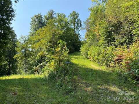 Lt A52 Latch String Road, Cullowhee, NC 28723