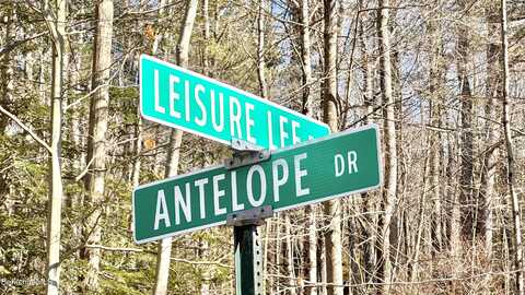 294 Antelope Dr, Lee, MA 01238