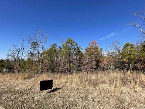 19116 Waterview Meadow Lane, Roland, AR 72135