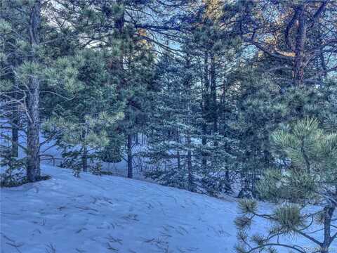 1174 Monarch Drive, Cripple Creek, CO 80813