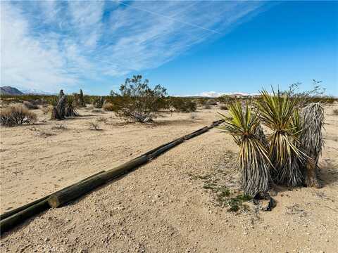 1234 Desert Lily Street, Joshua Tree, CA 92252