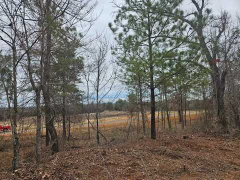 16919 Ridgeline Loop, Winona, TX 75792