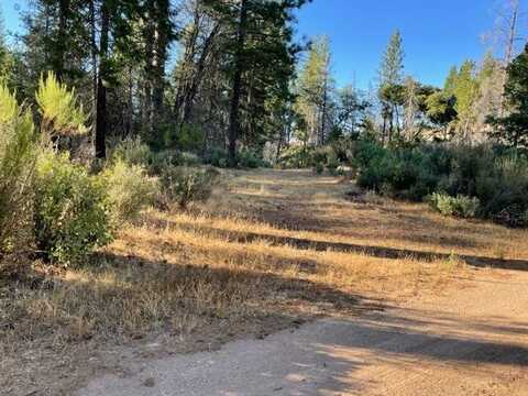 18371 Pine Tree Way, Mountain Ranch, CA 95246