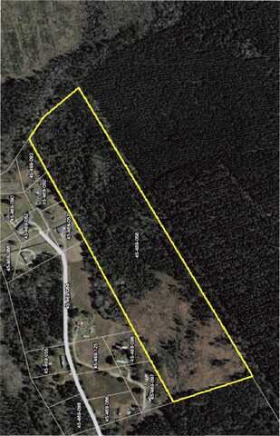 TBD Williams Rd., Hemingway, SC 29554