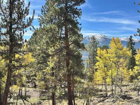 142 La Plata Peak Drive, Twin Lakes, CO 81251