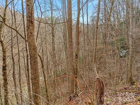 0 Sugarloaf Mountain Estates, Burnsville, NC 28714