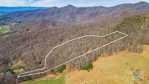 66 Mcdaris Cove Road, Weaverville, NC 28787