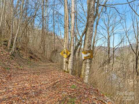 Lot 21 Sugarloaf Mountain Estates, Burnsville, NC 28714