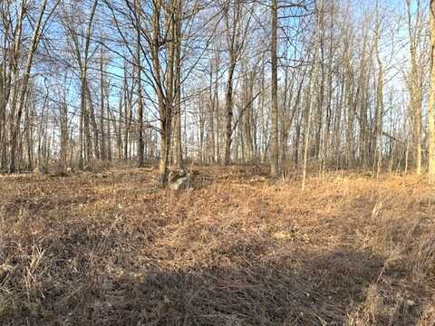 Lot1 THORN APPLE DR, Wittenberg, WI 54499