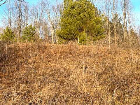 Lot 6 THORN APPLE DR, Wittenberg, WI 54499