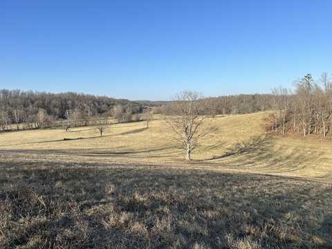 000 County Road 306, Van Buren, MO 63965