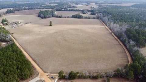 0 Bodie & Quattlebaum Road, Wagener, SC 29164