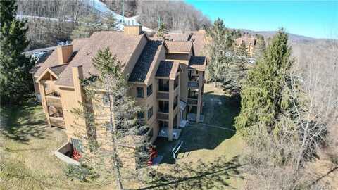 H303 Snowpine Village, Great Valley, NY 14741