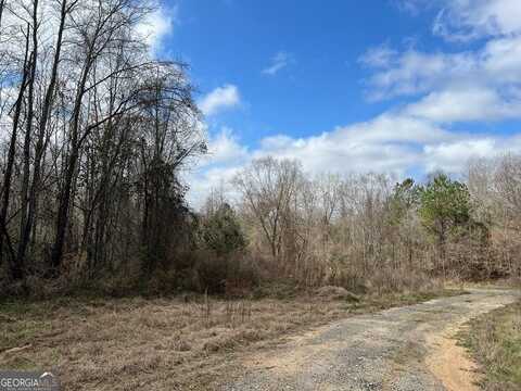 00 Bellflower Road, Dublin, GA 31021