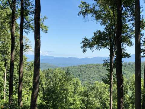 245 Smokerise Court, Ellijay, GA 30536