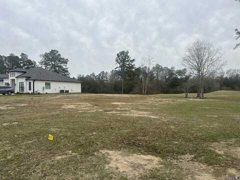 30532 TUPELO POND, Springfield, LA 70462