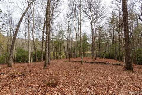 Lot W9 Fish Camp Trail, Glenville, NC 28736